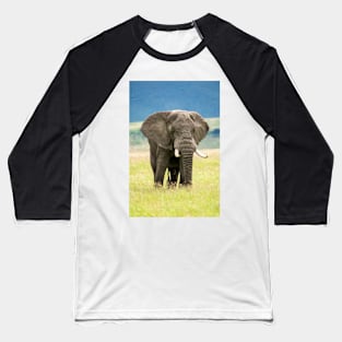 Elephant, Ngorongoro Crater, Tanzania Baseball T-Shirt